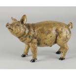 Bronze Pig