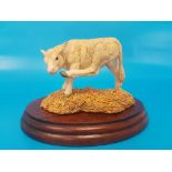 Border Fine Arts Itching to Scratch figurine (boxed)