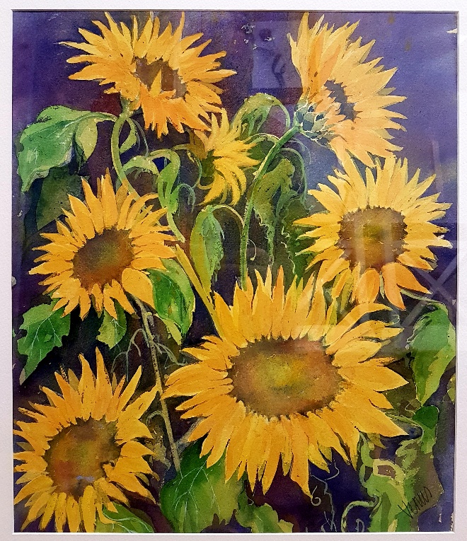 Original Framed and Signed Sunflower Watercolour by renowned Lakeland Artist, Venus Griffiths