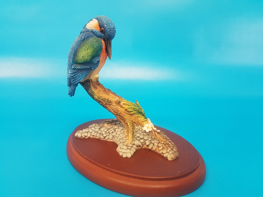 Border Fine Arts Kingfisher on a Branch Figurine, A0653 (Boxed)