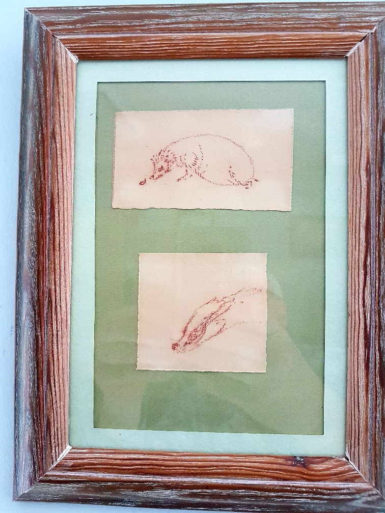 Framed and Glazed Norman Orr sketches of Badger and Hedgehog