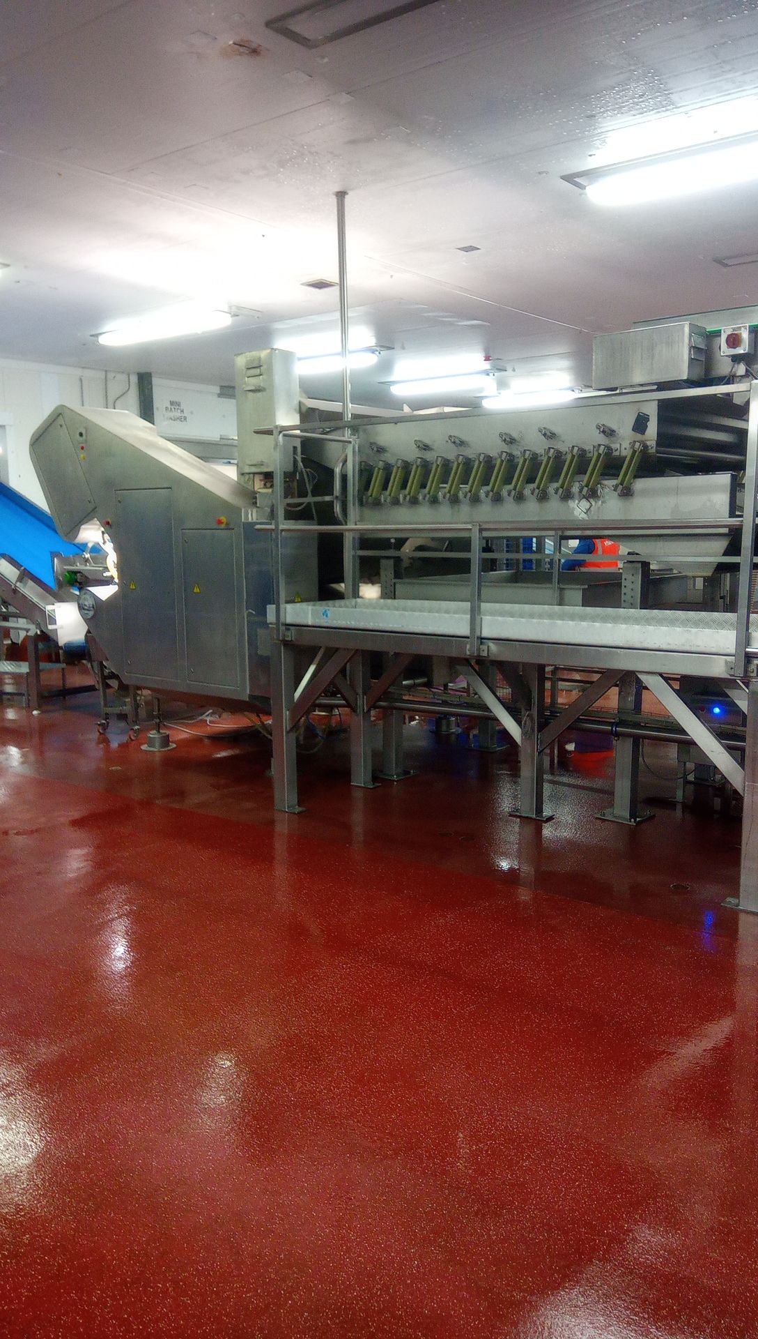 OPTICAL SORTER - Image 2 of 14