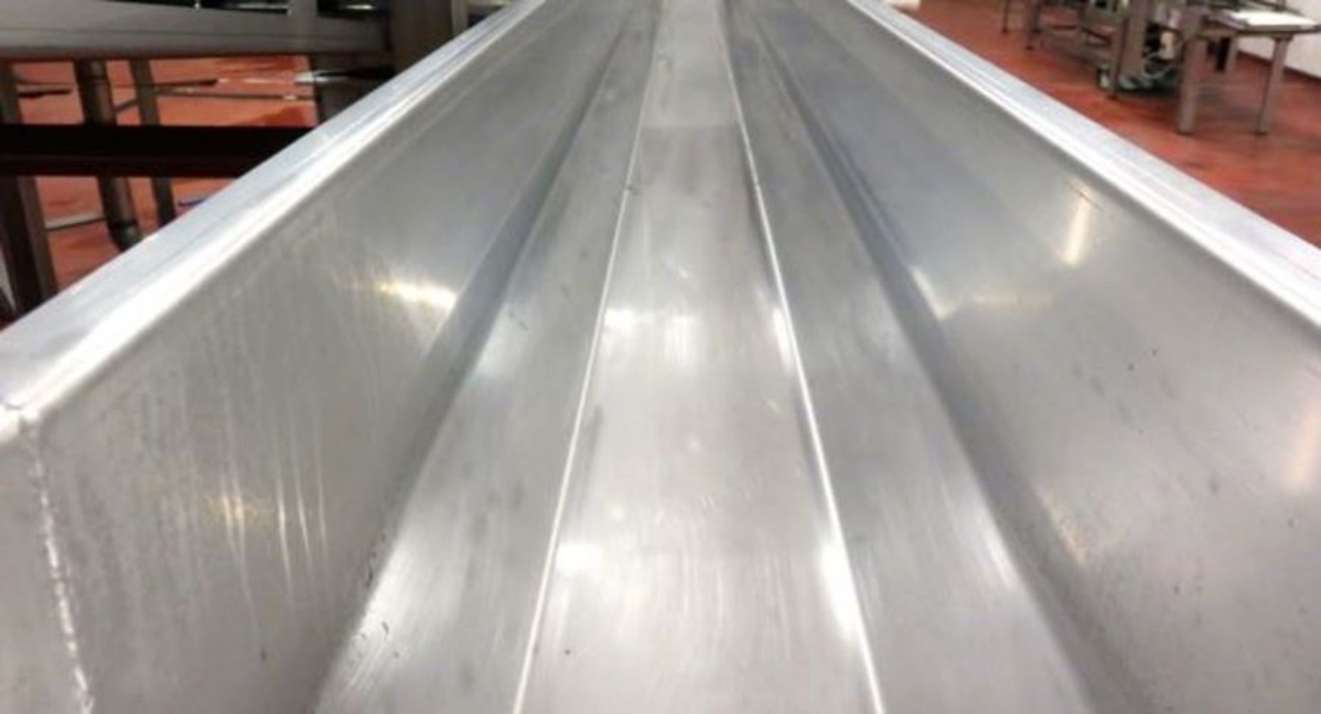 WASHING AND STEAM BLANCHING LINE FOR VEGETABLES - Image 12 of 14