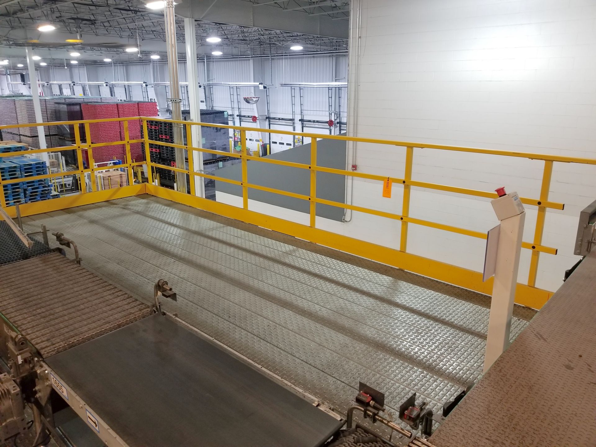 Large Case Conveyor Mezzanine