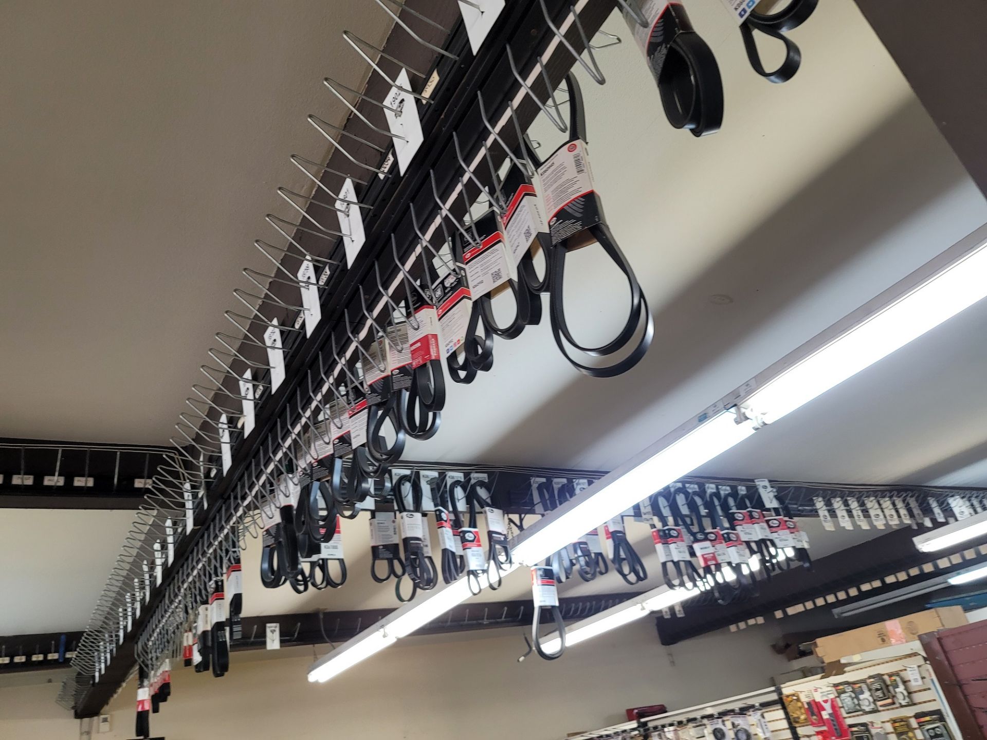 LOT - APPROX. (252) VARIOUS V-BELTS & SERPENTINE BELTS HANGING THROUGHOUT THE STORE, TAKE AS MANY OF - Image 3 of 7