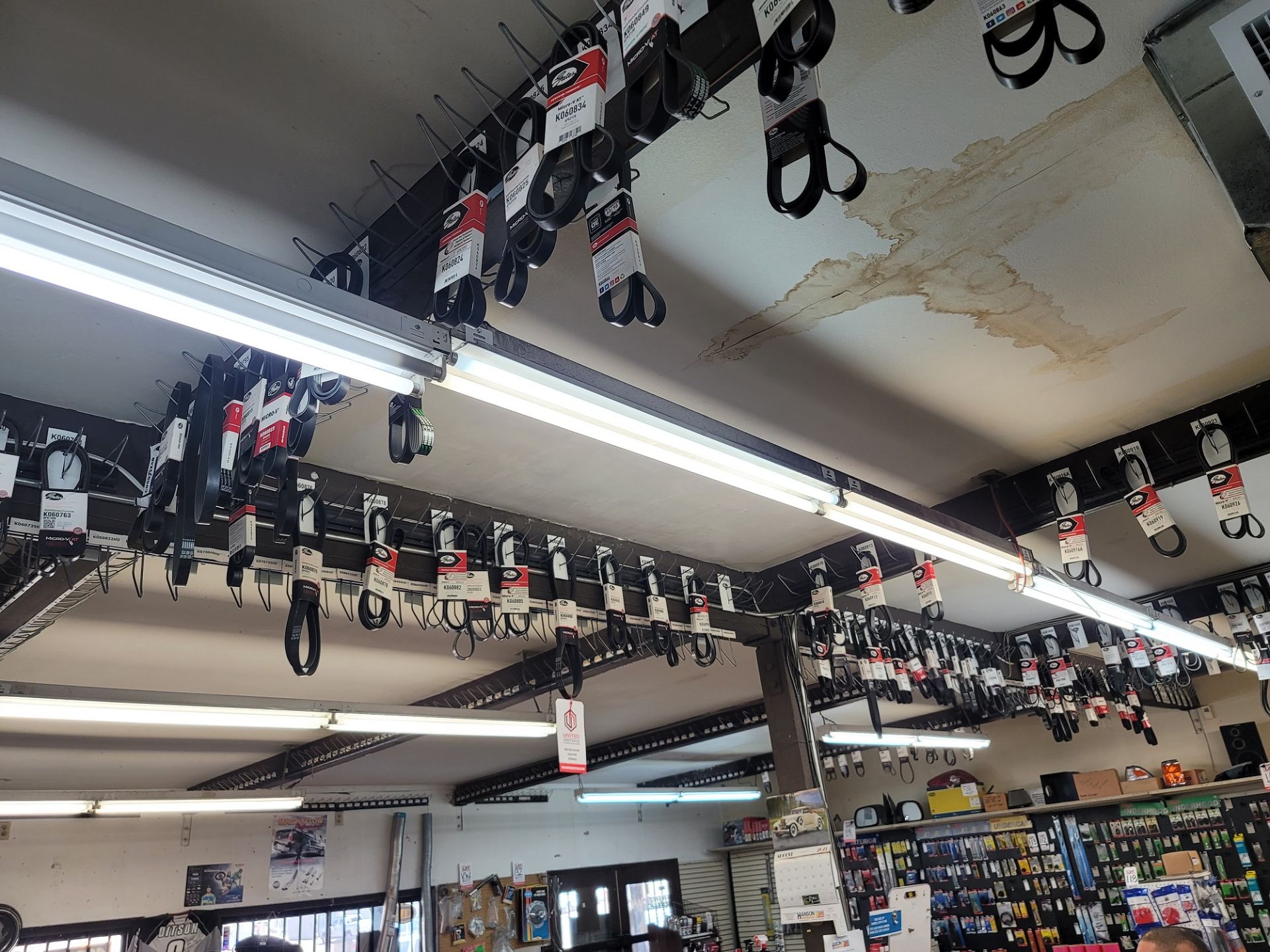 LOT - APPROX. (252) VARIOUS V-BELTS & SERPENTINE BELTS HANGING THROUGHOUT THE STORE, TAKE AS MANY OF - Image 6 of 7