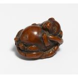 NETSUKE OF A TANUKI ON A LOTUS LEAF. Japan. 19th c. Tagua nut, carved and stained dark brown. H.3cm,