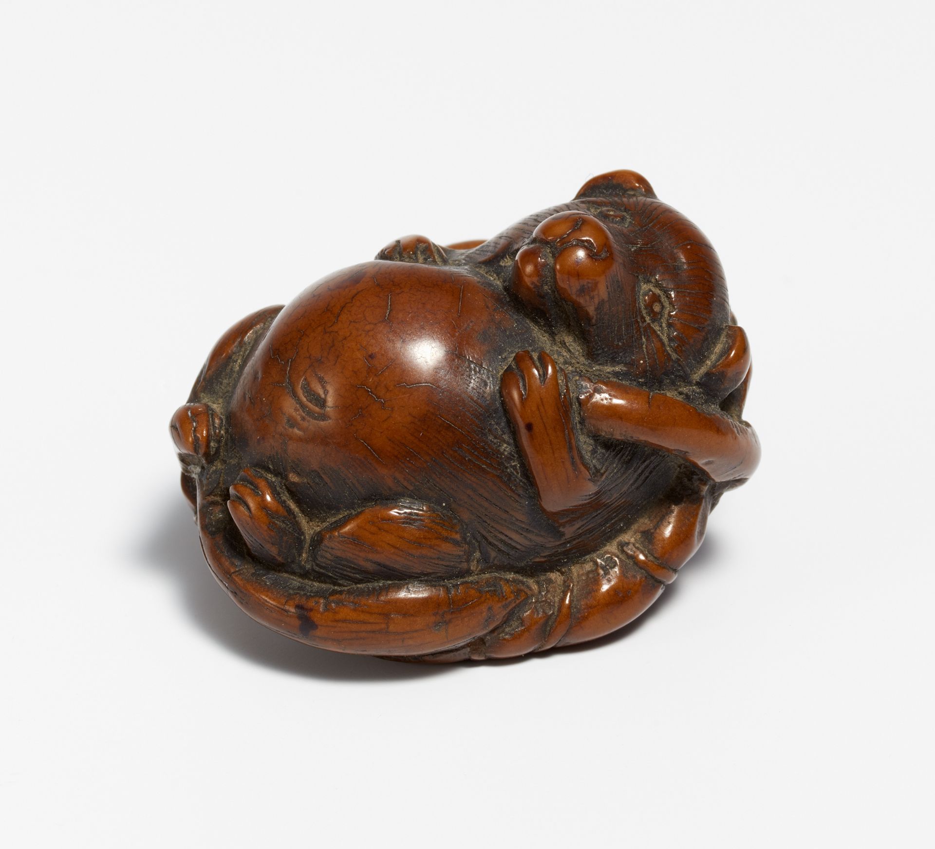 NETSUKE OF A TANUKI ON A LOTUS LEAF. Japan. 19th c. Tagua nut, carved and stained dark brown. H.3cm,