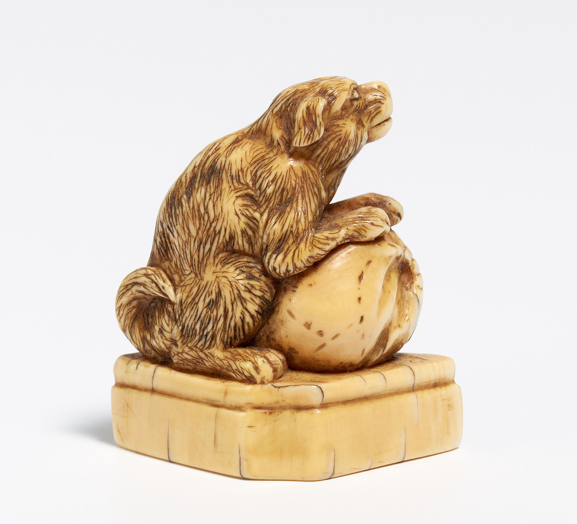 NETSUKE: DOG WITH EGGPLANT ON BASE. Japan. 18th c. Ivory, carved with engraved details stained dark. - Bild 2 aus 2