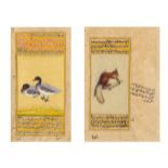 TWO MANUSCRIPT ILLUSTRATIONS OF DUCKS AND SQUIRREL. Indo Persian. 19th-20th c. Pigments on paper.