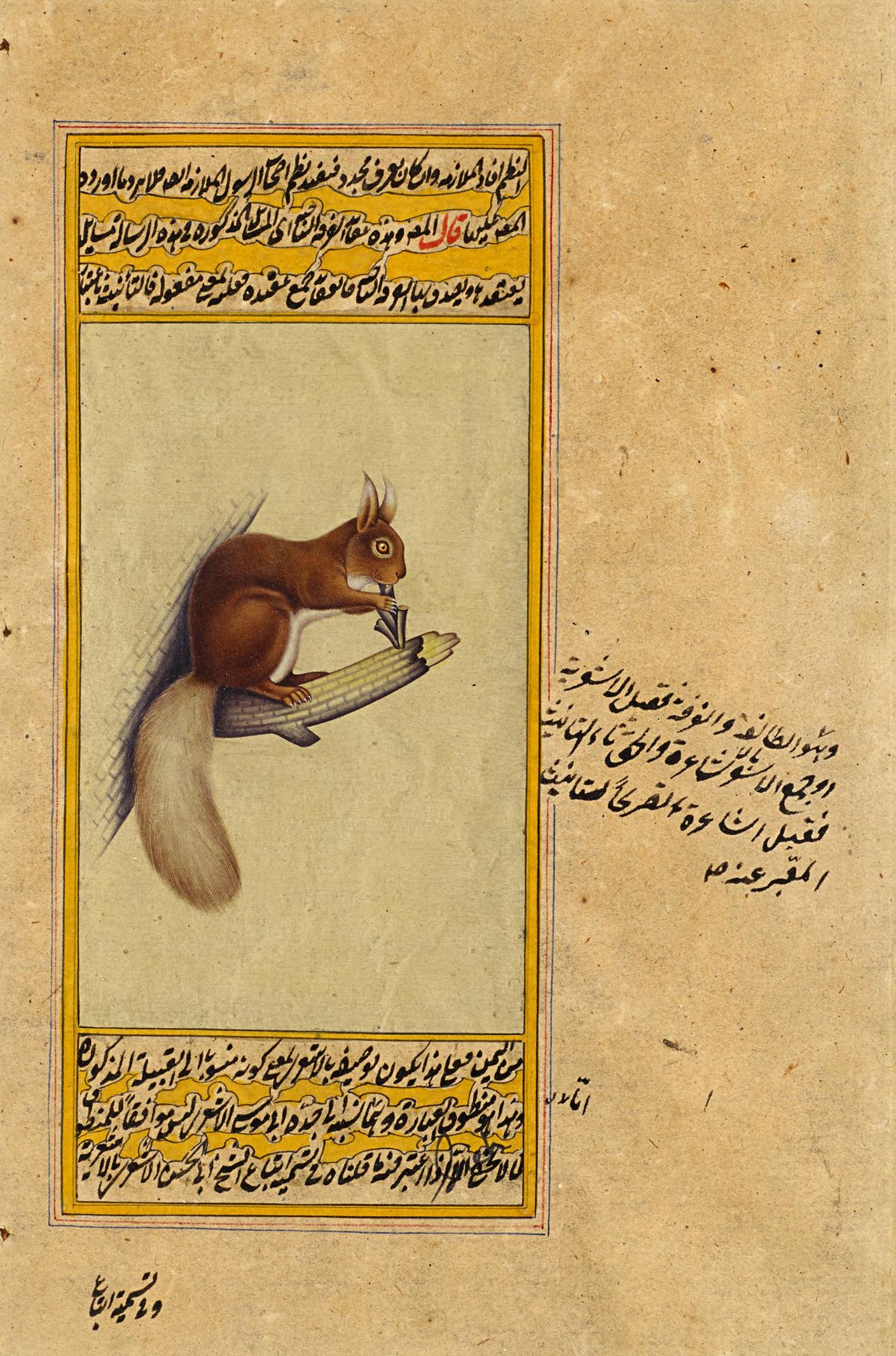TWO MANUSCRIPT ILLUSTRATIONS OF DUCKS AND SQUIRREL. Indo Persian. 19th-20th c. Pigments on paper. - Bild 3 aus 3
