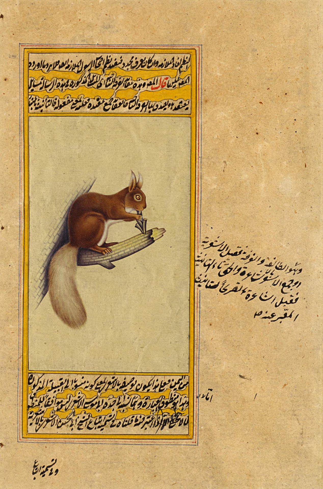 TWO MANUSCRIPT ILLUSTRATIONS OF DUCKS AND SQUIRREL. Indo Persian. 19th-20th c. Pigments on paper. - Image 3 of 3