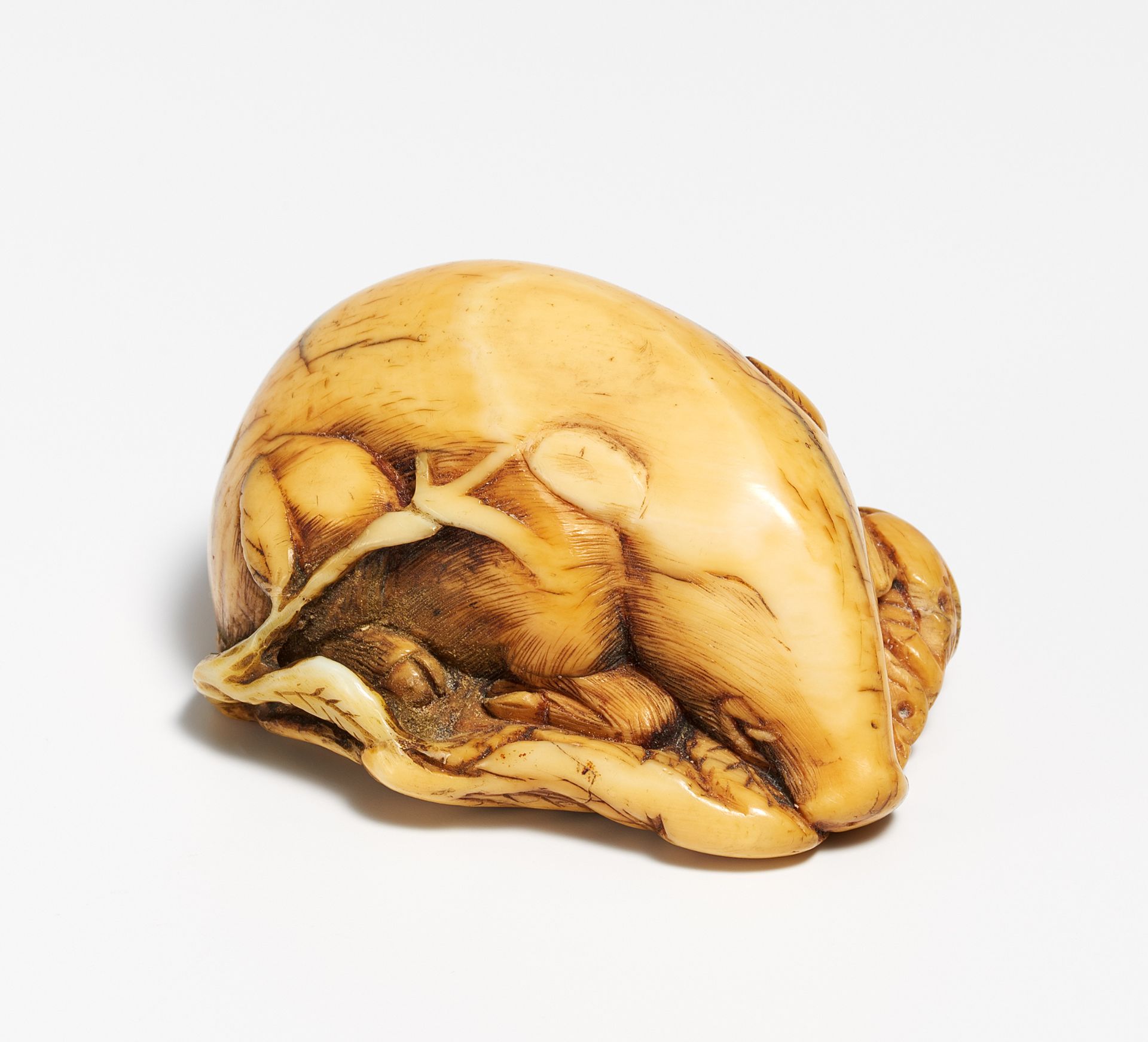 NETSUKE OF A BOAR SLEEPING ON LEAFS. Japan. 18th c. Ivory with amber yellow patina. L.5cm. Condition - Bild 2 aus 2