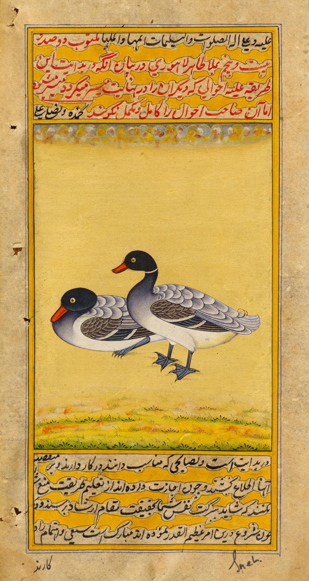 TWO MANUSCRIPT ILLUSTRATIONS OF DUCKS AND SQUIRREL. Indo Persian. 19th-20th c. Pigments on paper. - Image 2 of 3