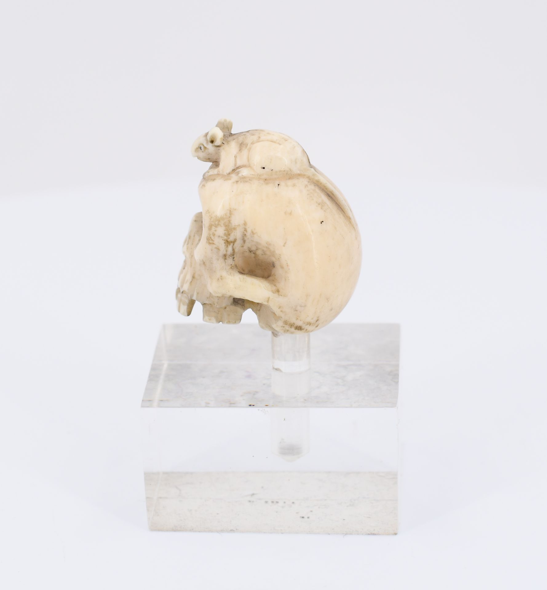 Fünf Netsuke in Form von Schädeln - Image 4 of 9