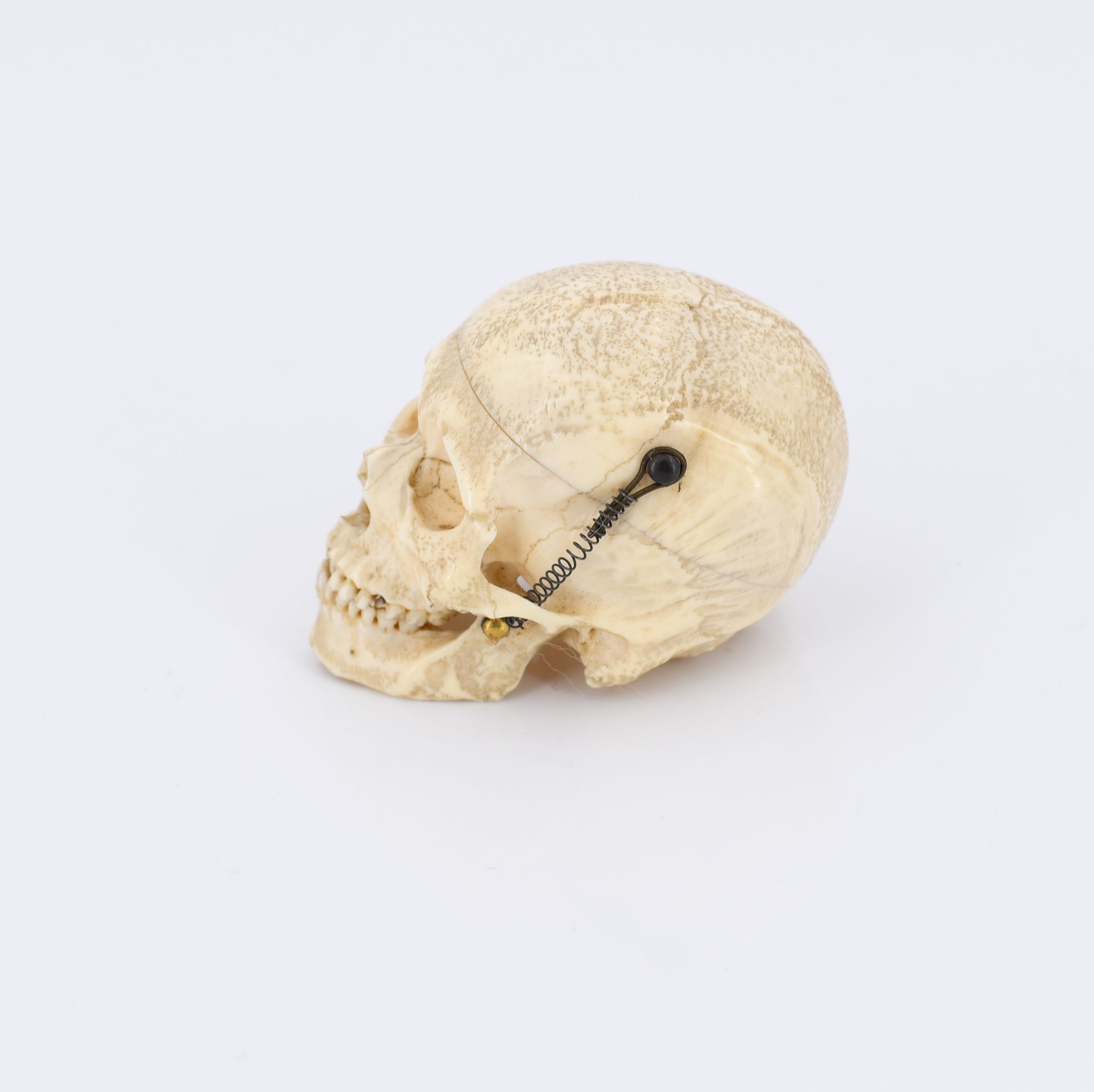 Anatomisches Miniatur-Modell eines menschlichen Schädels - Image 6 of 10