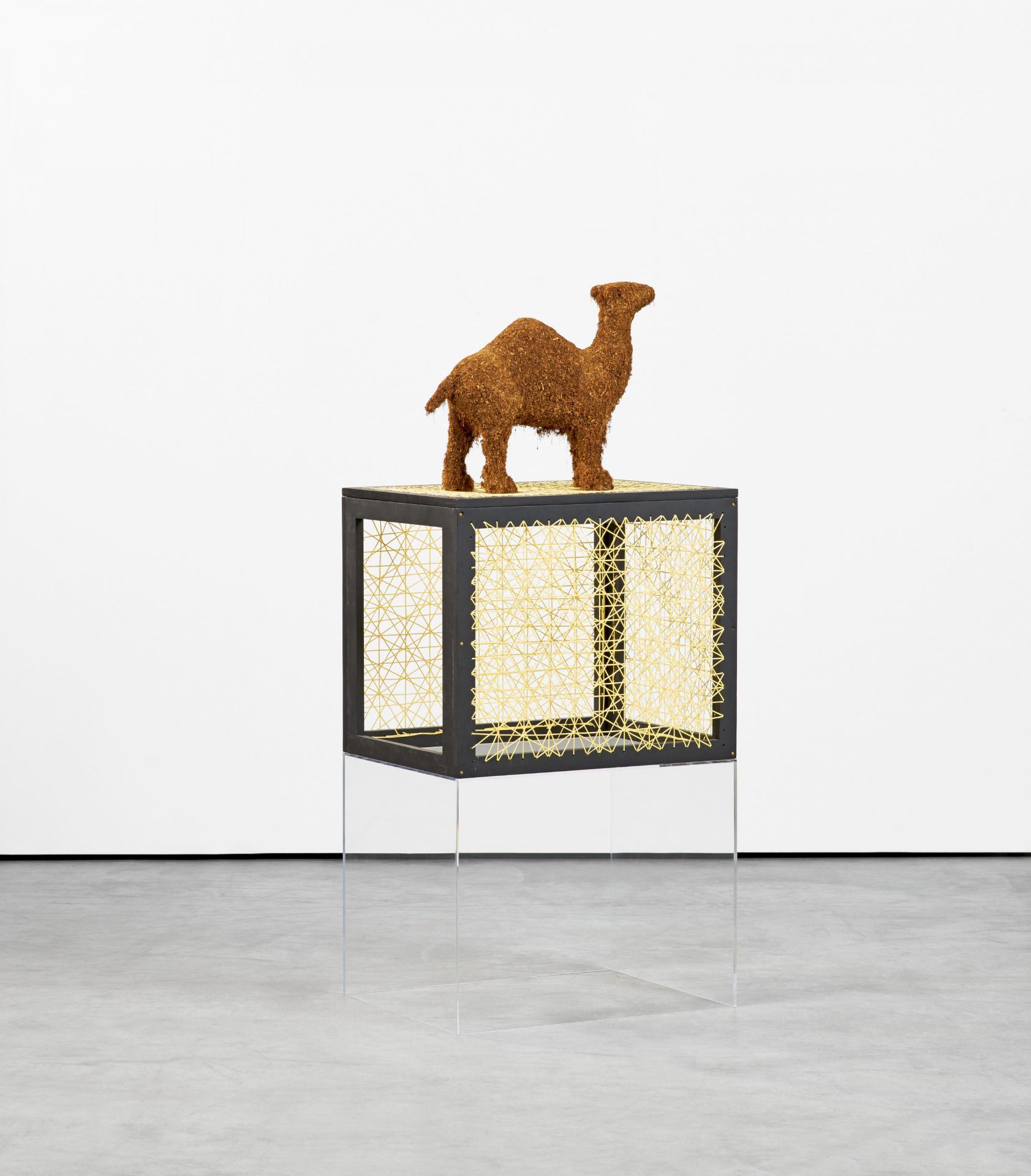 Lisa Lapinski: Tobacco Camel (Ref black box) - Image 2 of 4