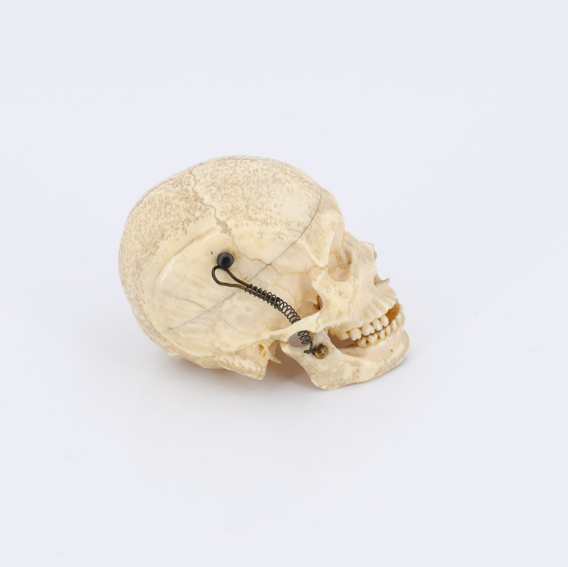 Anatomisches Miniatur-Modell eines menschlichen Schädels - Image 4 of 10