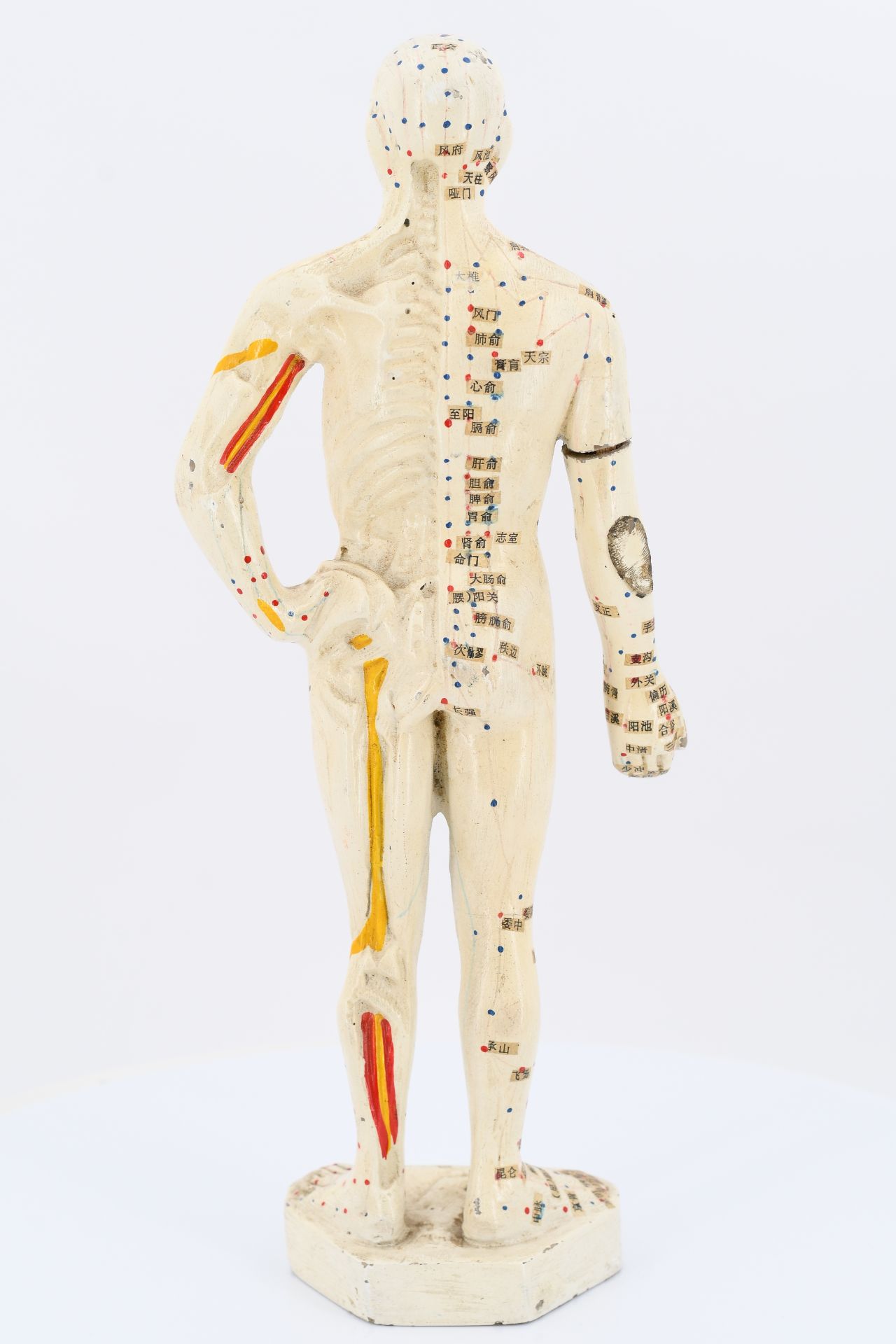 Kleines Akupunktur Ganzkörpermodell eines Mannes - Image 3 of 6