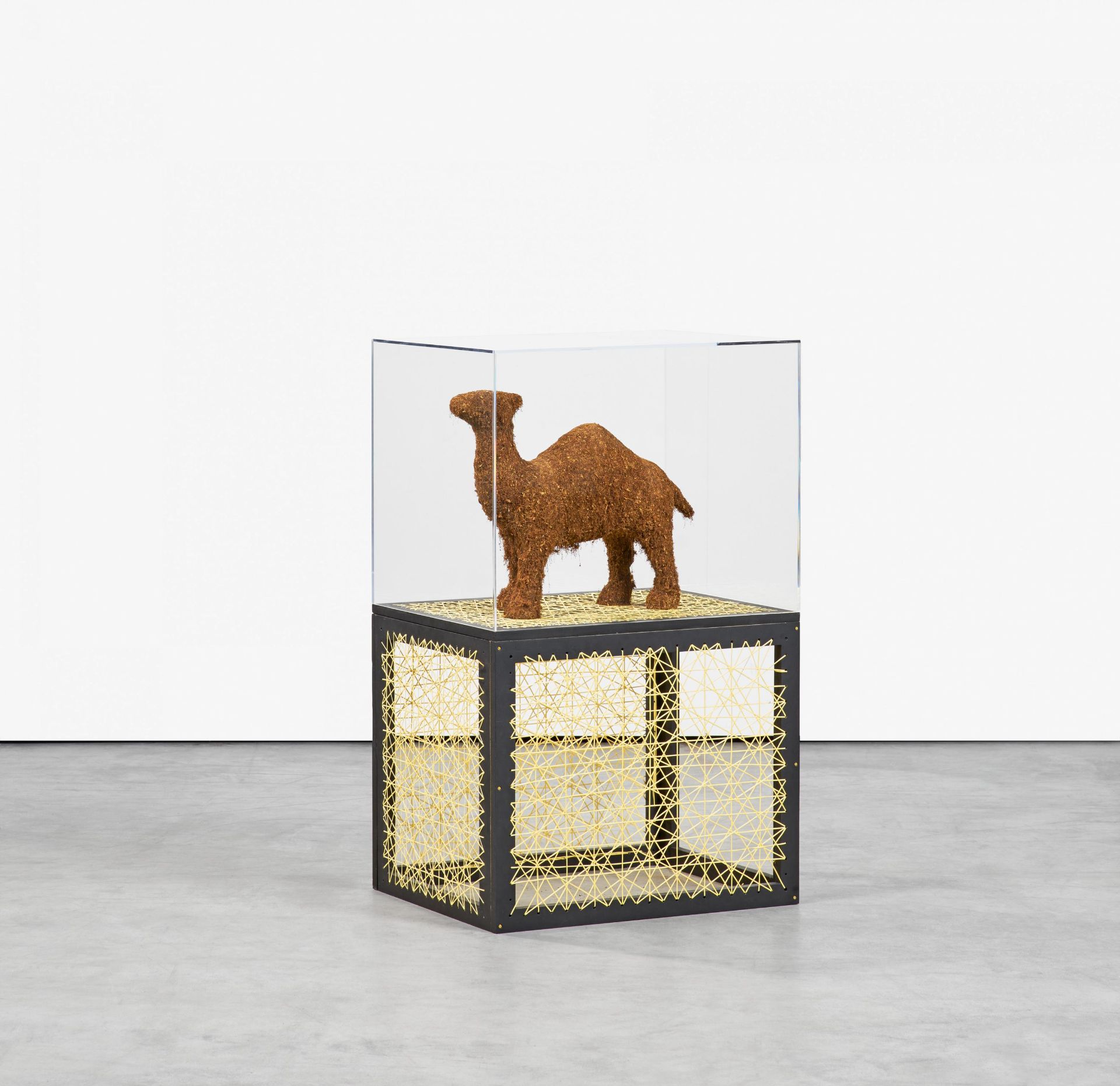 Lisa Lapinski: Tobacco Camel (Ref black box) - Image 4 of 4