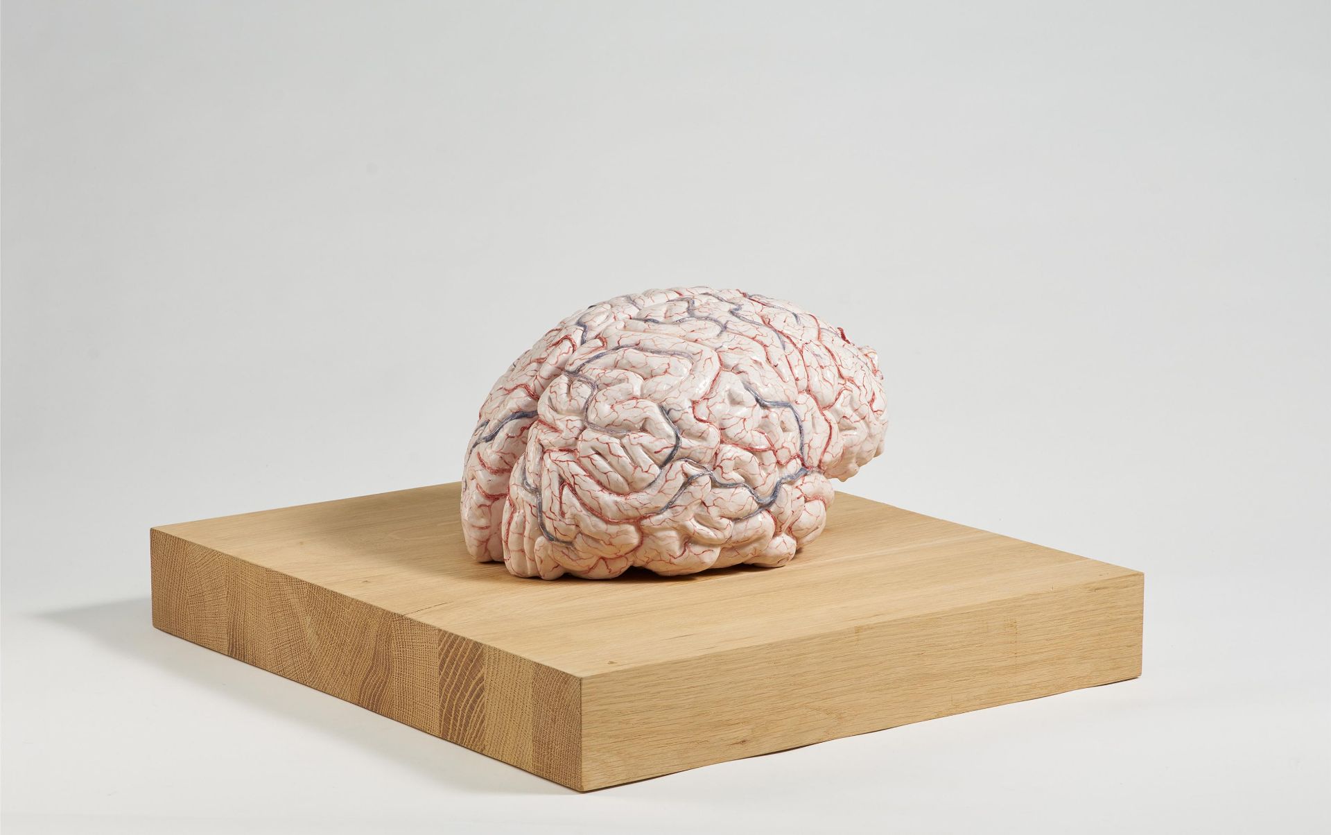 Jan Fabre: The Brain of a Messenger of COLth - Image 4 of 4