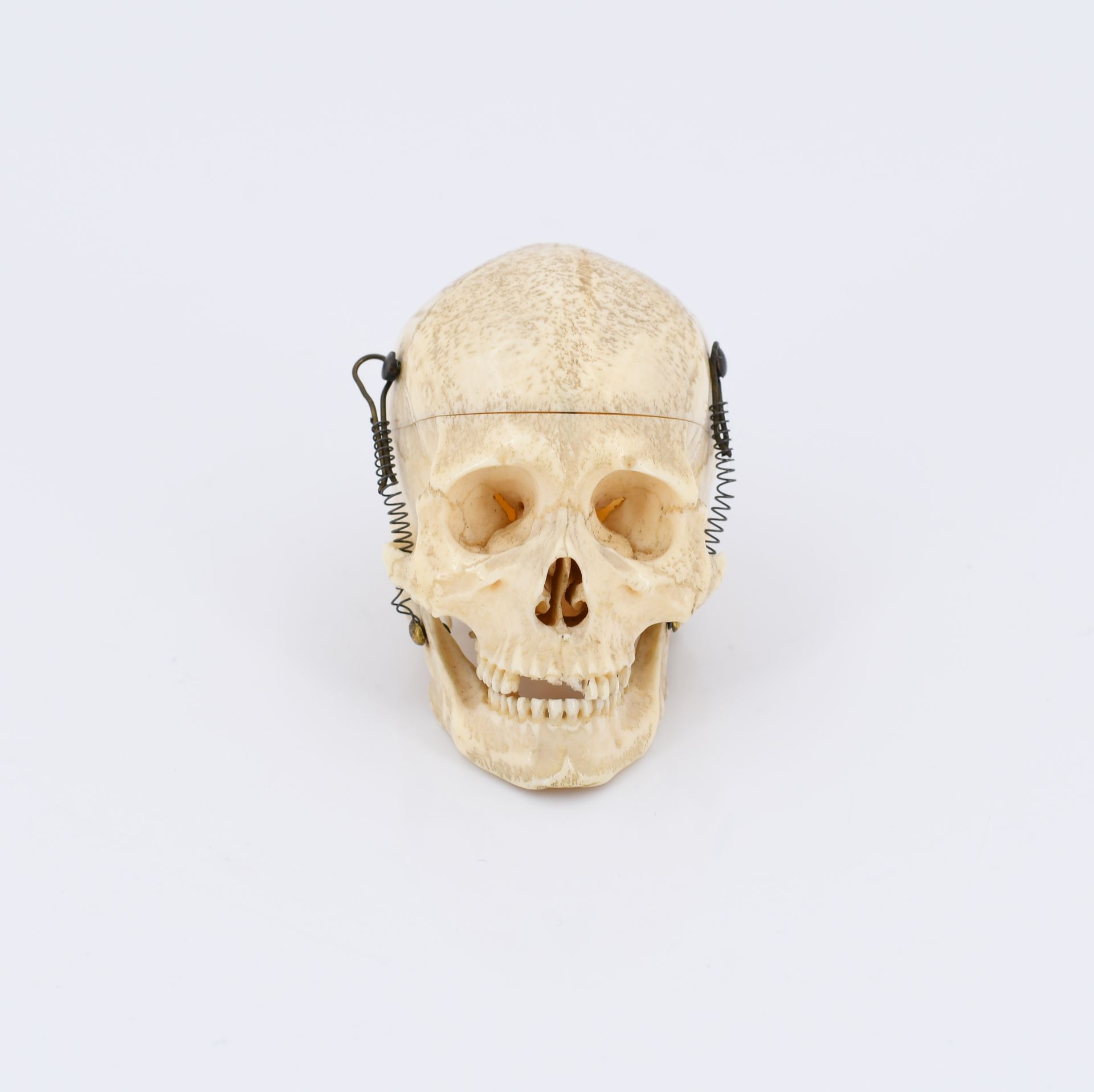 Anatomisches Miniatur-Modell eines menschlichen Schädels - Image 7 of 10