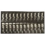 Eadweard (Edward James Muybridge) Muybridge: Animal Locomotion (Plate 89)