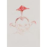 Paloma Varga Weisz: Toadstool-face