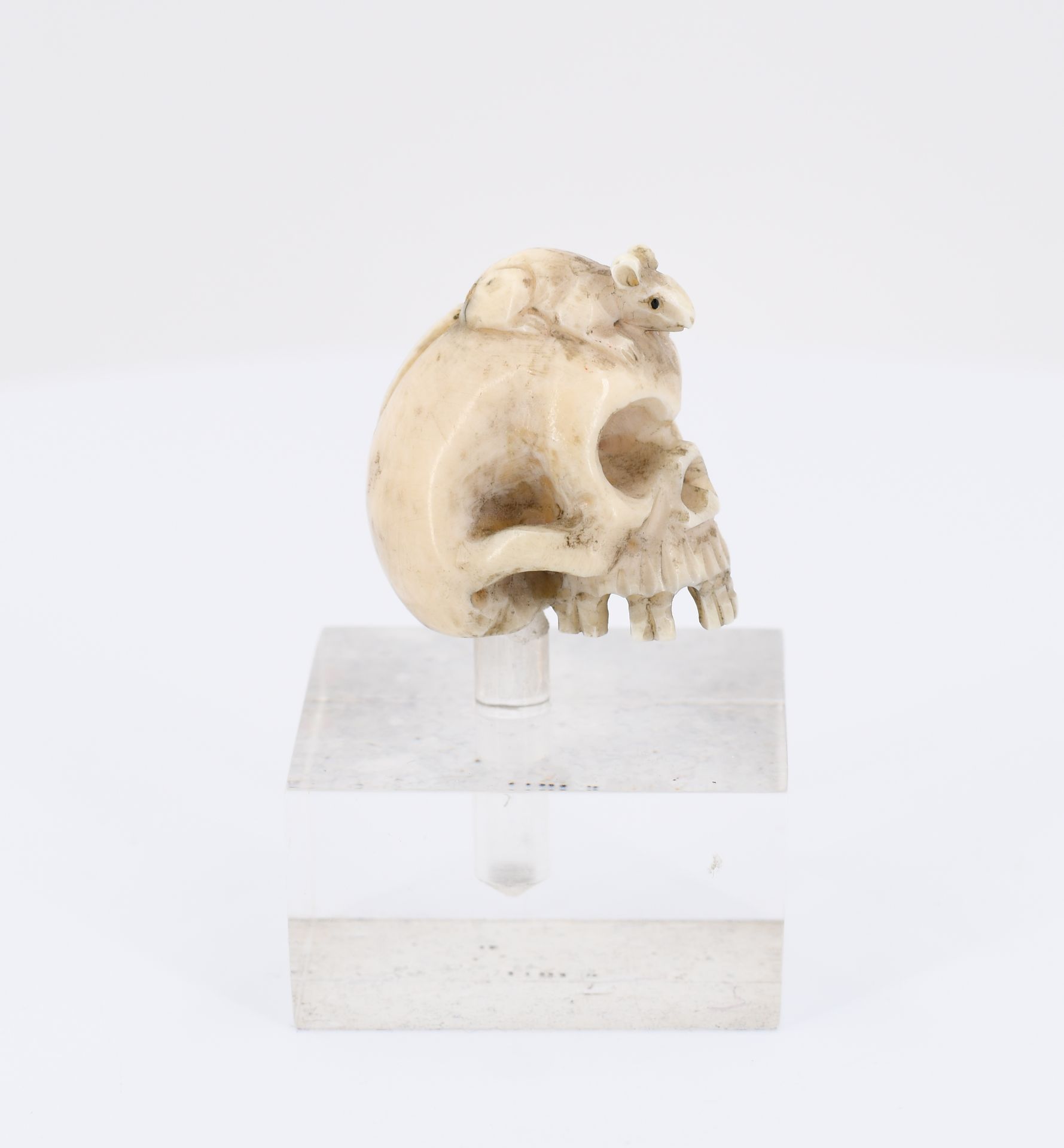 Fünf Netsuke in Form von Schädeln - Image 2 of 9