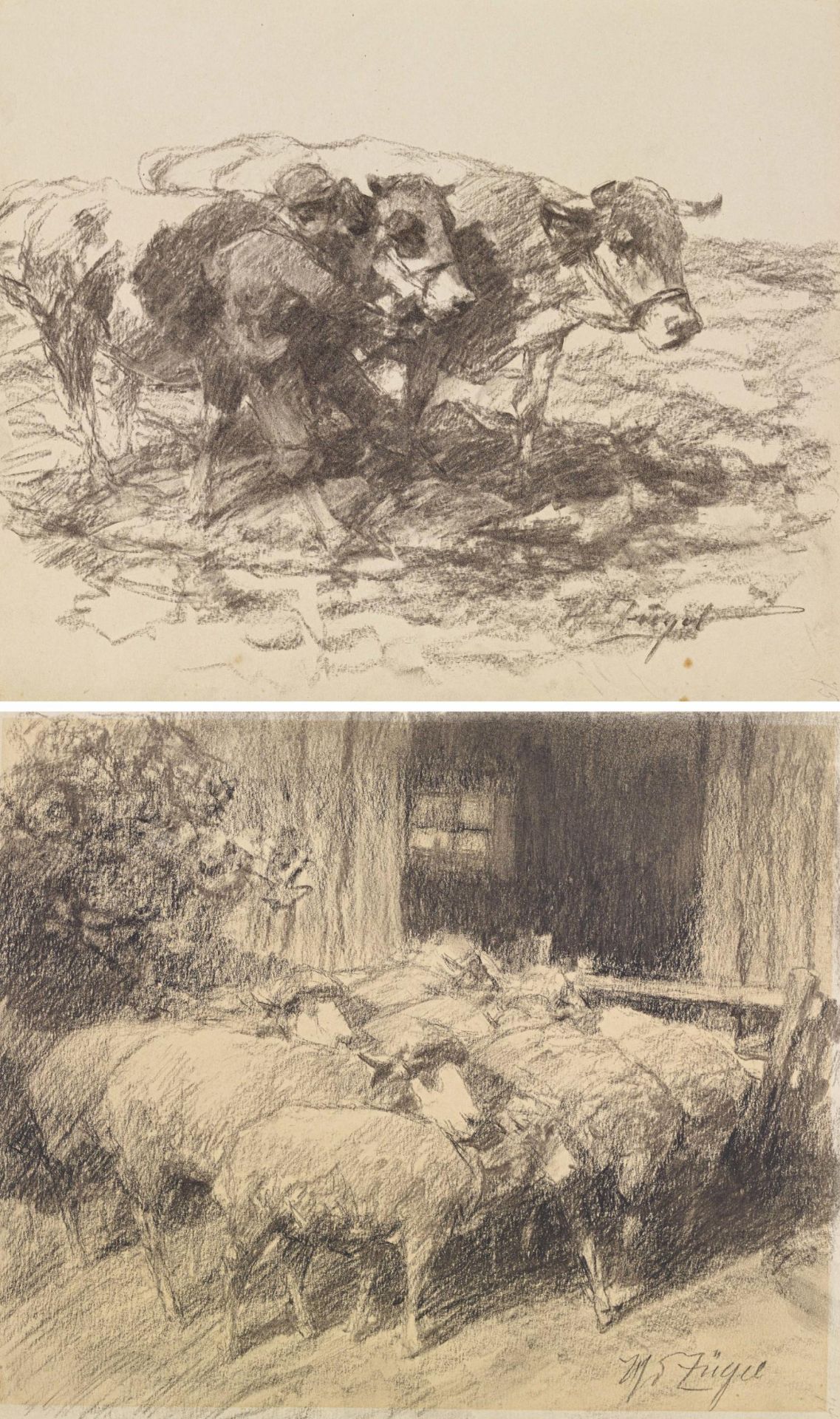 Heinrich von Zügel: Two charcoal drawings: A Yoke of Oxen / Sheep in Front of the Barn Door