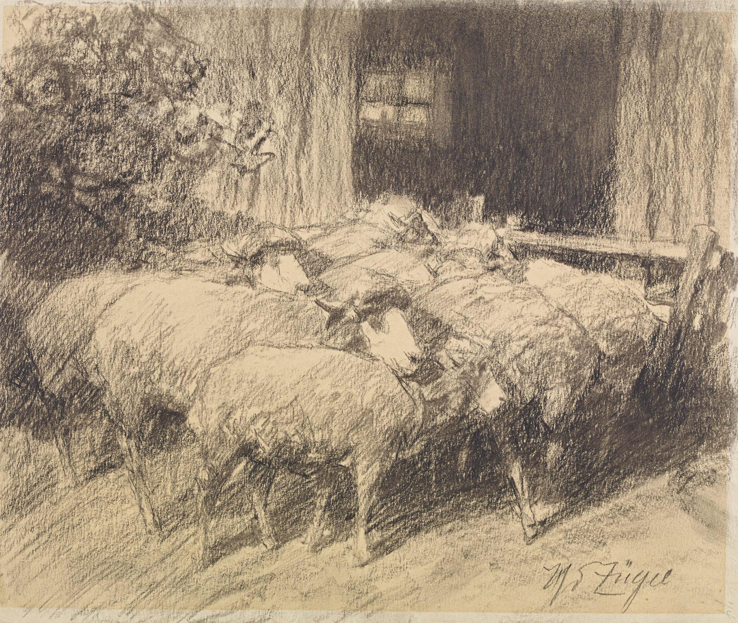 Heinrich von Zügel: Two charcoal drawings: A Yoke of Oxen / Sheep in Front of the Barn Door - Image 4 of 5