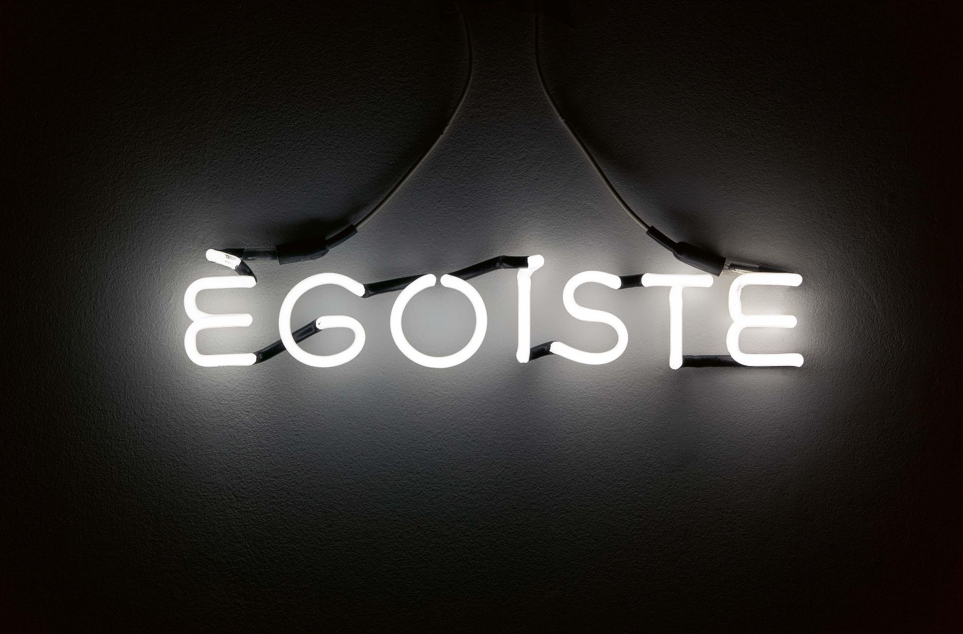 Sylvie Fleury: Egoiste