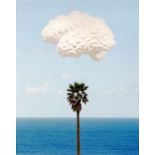 John Baldessari: Brain Cloud (With Seascape and Palm Tree)