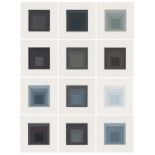 Josef Albers: Gray Instrumentation I