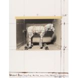 Christo: Wrapped Horse, Project for Neo-Dada, Wrapped