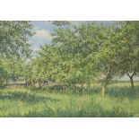 Igor BARKHATKOV (1958) - Russian School, 20th Century, 'Sunlit garden'- An orchard in Summer.