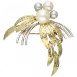 Bicolor gold brooch, with cultivated freshwater pearl - 14 ct.
