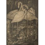 Willem van den Berg (The Hague 1886 - 1970 Amsterdam), ca. 1920. Flamingos.