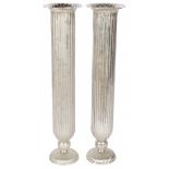 A (2) piece set decorative vases, 20th century.