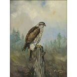 Henk Poeder (Geb. Ede, 1964), Portrait of a falcon.