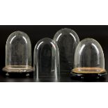 A lot comprised of (4) oval glass domes, various dimensions, 19th century.