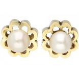 Yellow gold flower-shaped ear studs set with freshwater cultivated pearl - 14 ct.