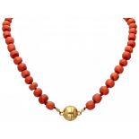 Single strand red coral necklace with a 925/1000 gold plated silver magnetic closure.