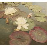 Attributed to D. Smorenberg, 20th. C.. Water lillies.