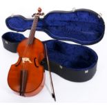 A viola da gamba Maestro, 7-string, in a suitcase.