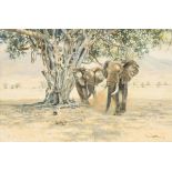 Donald Grant (North Shields, Northumberland, VK 1930 - 2001). African elephants by a tree.