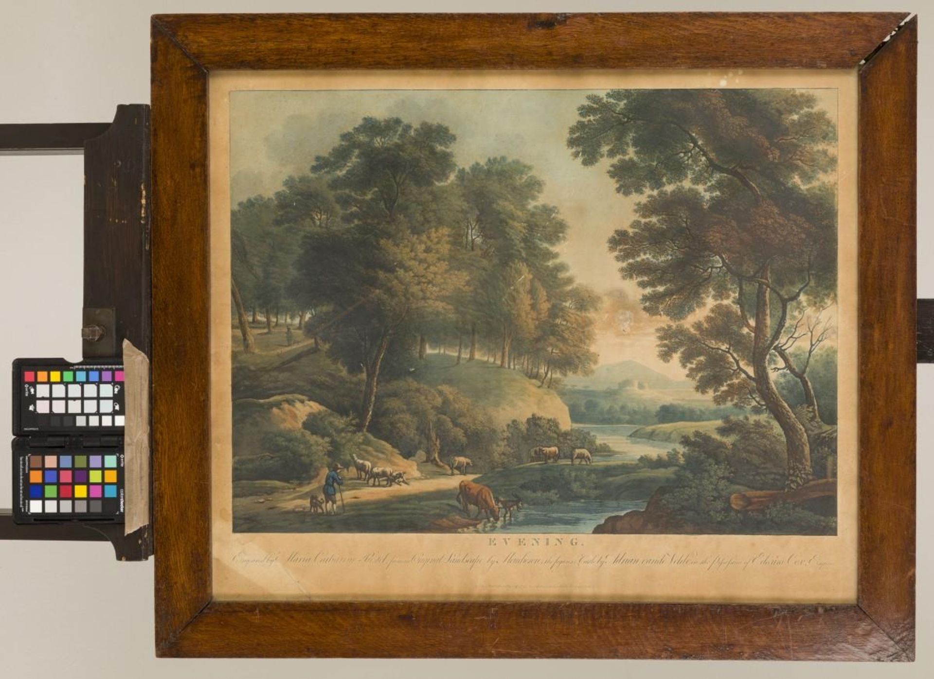 A set comprising (2) engravings, coloured (forest) landscapes, England. - Bild 4 aus 5