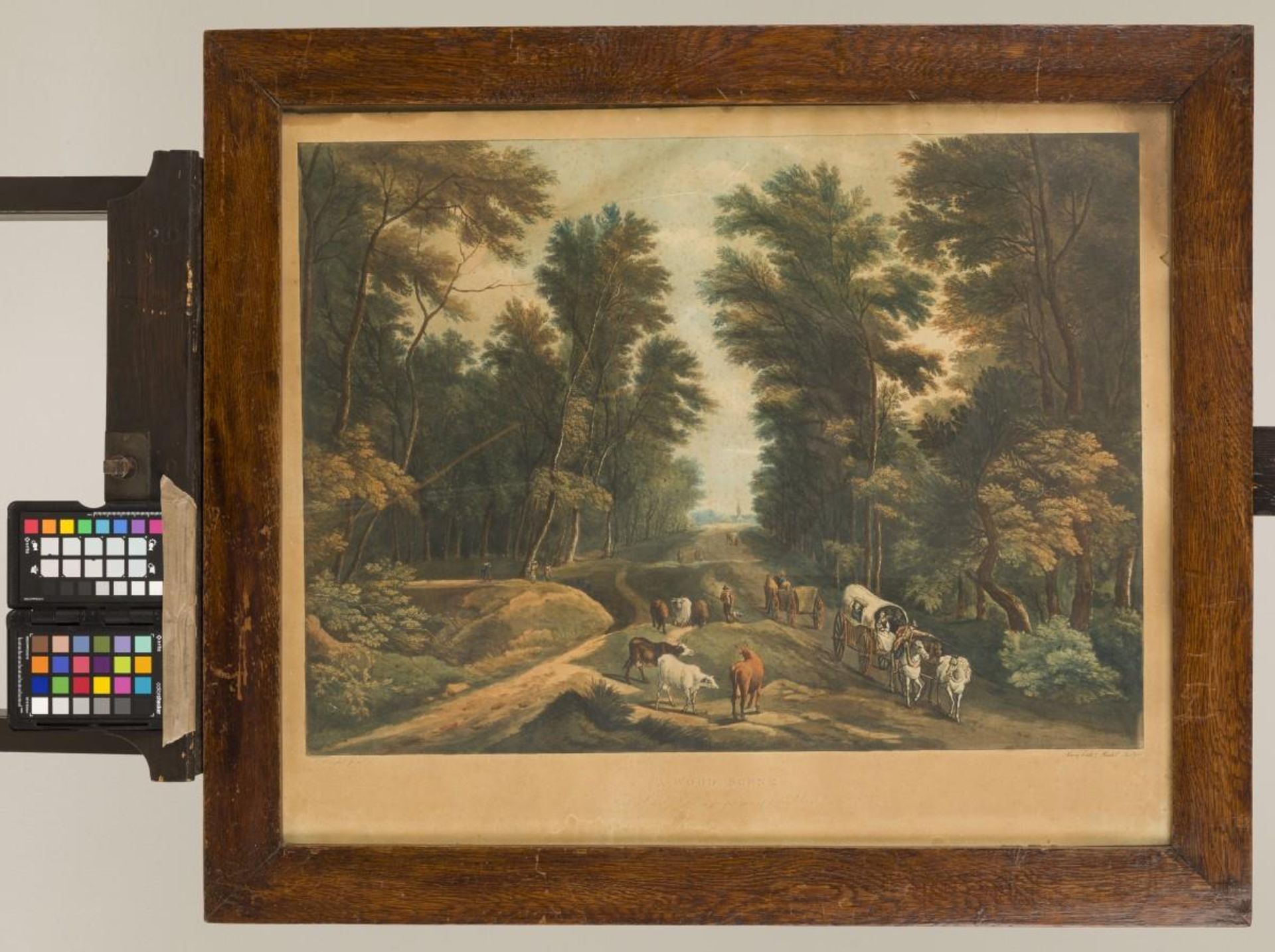 A set comprising (2) engravings, coloured (forest) landscapes, England. - Bild 2 aus 5