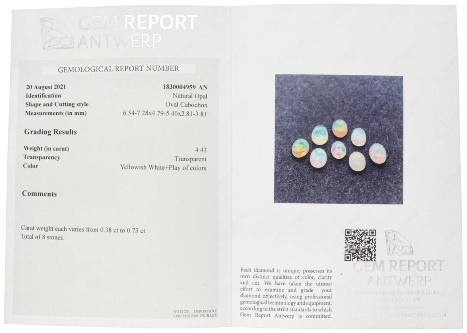 Lot of 8 GRA Certified Natural Opal Gemstones 4.43 ct. in total. - Bild 4 aus 4