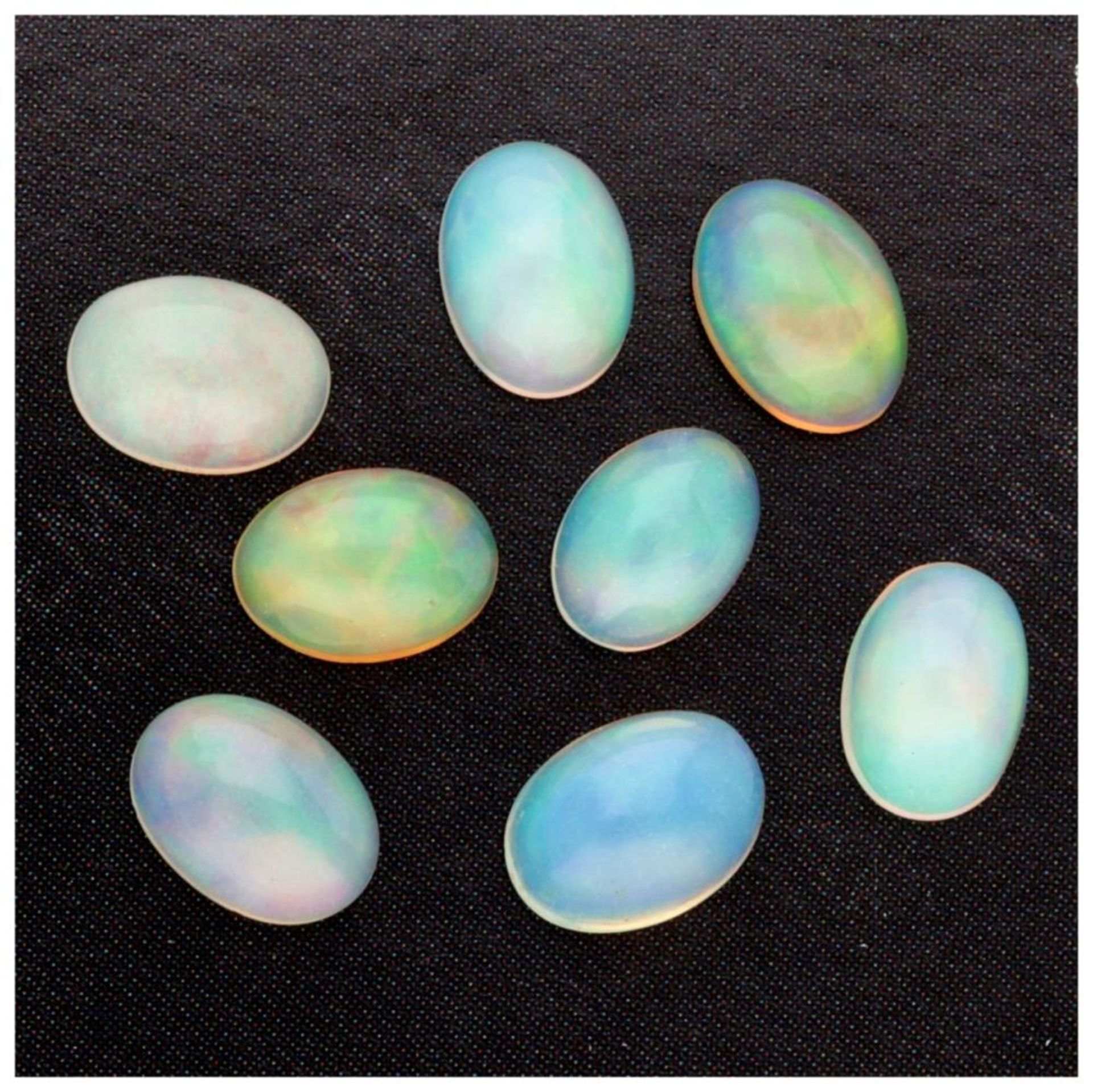 Lot of 8 GRA Certified Natural Opal Gemstones 4.43 ct. in total. - Bild 3 aus 4